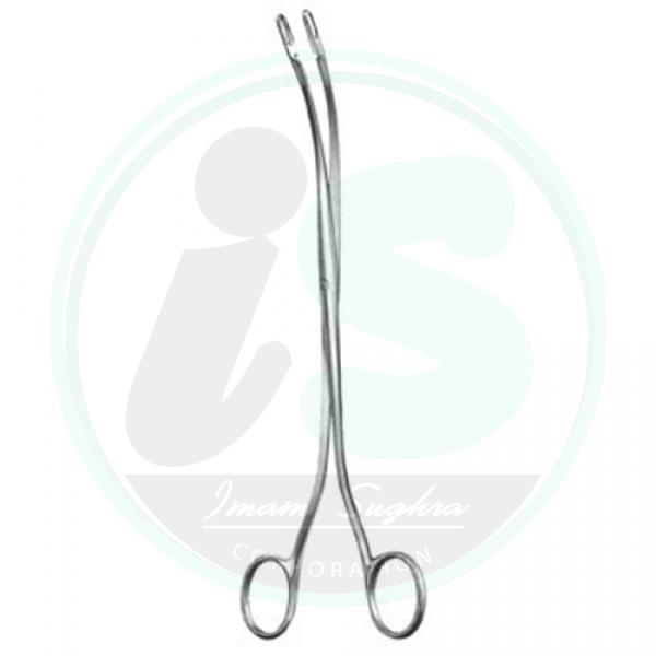  Urology