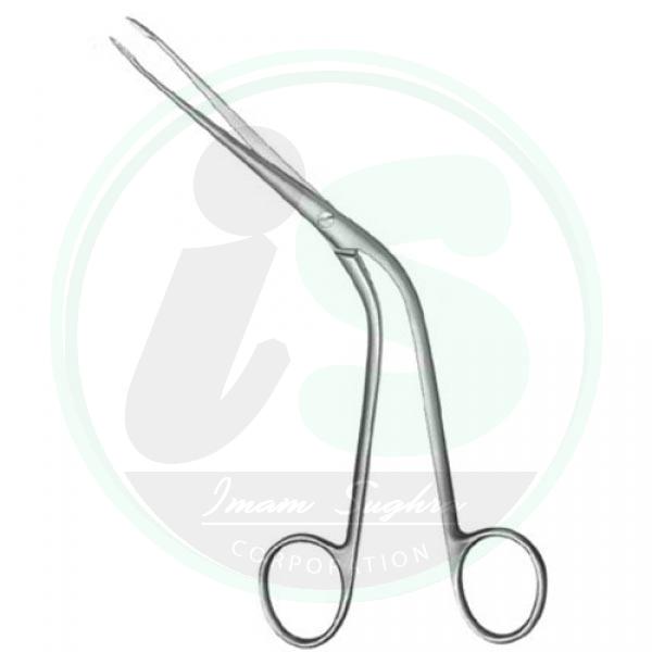 Rhinology
