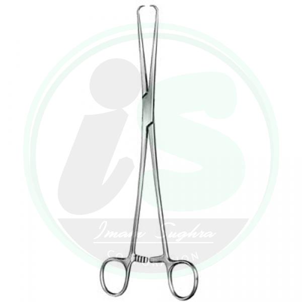  Gynecoloty